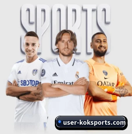 五大服务分区,信息按项目分类(KOK)