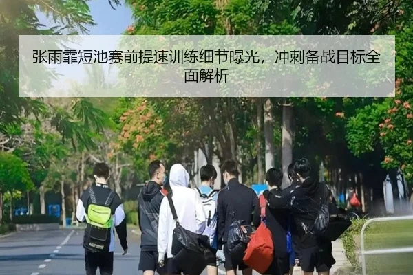 张雨霏短池赛前提速训练细节曝光，冲刺备战目标全面解析（KOK）